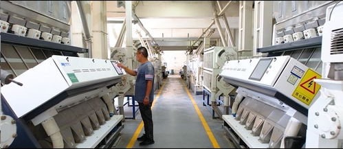 大米天天吃,但這樣又香又糯的大米你吃過(guò)嗎