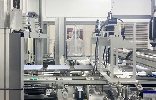 揚州新質生產力之 花 ,這樣絢麗綻放