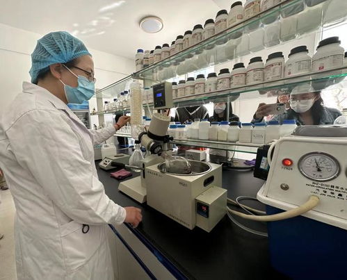 寧夏化妝品風靡俄羅斯市場，新型汽輪機研發與銷售齊頭并進